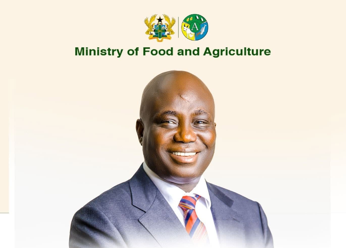 2027 Budget to Fund Grain Silos as Ghana Records 1m-Tonne Maize Surplus