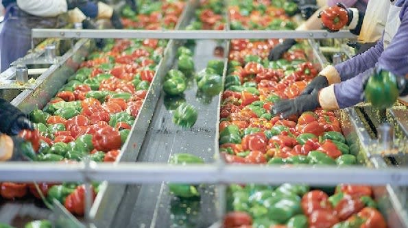 Ghana's Food Processing Ingredients Imports Rise to $1.27 billion — USDA report