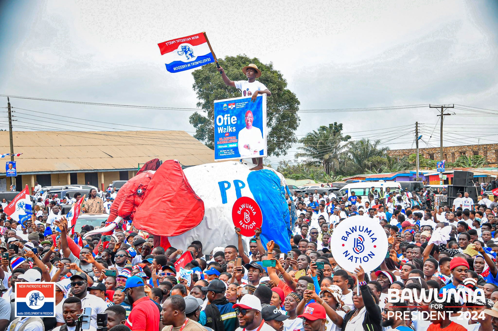 NPP Regional Elections: Fierce Contests Set to Reshape Party Ahead of 2028