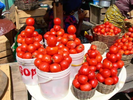 Tomato Traders Warn of Price Spikes After Burkina Faso Attacks Disrupt Supply, Renew Calls for Irrigation Investment