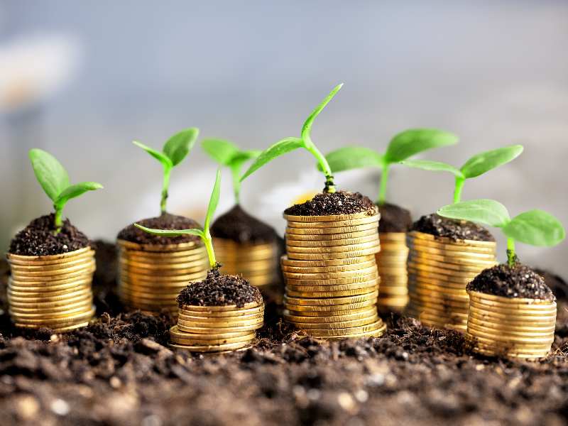Ghana's Sustainable Finance Roadmap Faces Crucial Test