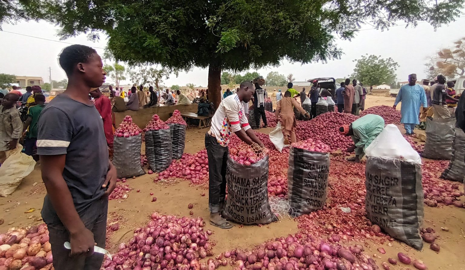 Ghana Onion Truck Blockade Triggers Shortage and Price Rise Fears