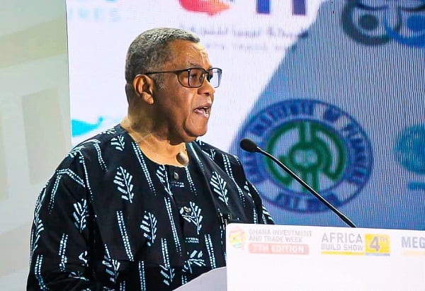 Goosie Tanoh Urges Africa to Build Industries from Critical Minerals
