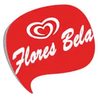 Flores Bela logomarca