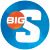 Big South Conference - Logo
