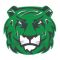 Salem International University