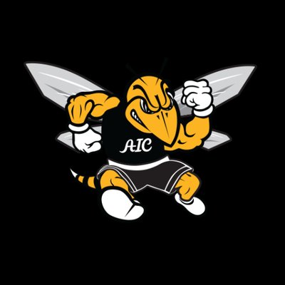 American International College - Logo