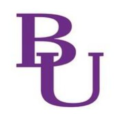 Bethel University (TN) - Logo