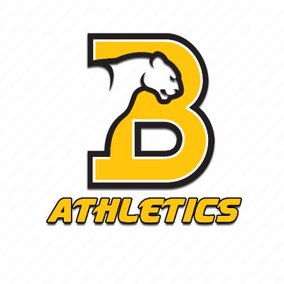 Birmingham Southern College - Logo