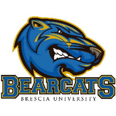 Brescia University - Logo
