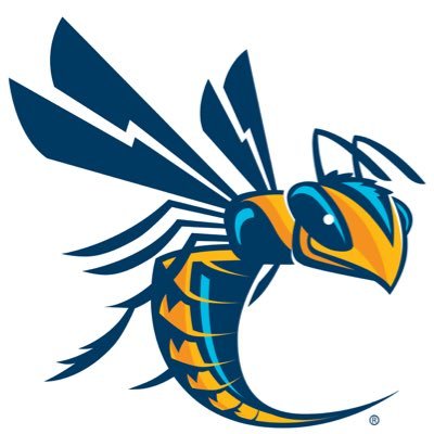 Cedarville University - Logo
