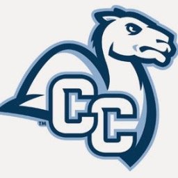 Connecticut College - Logo