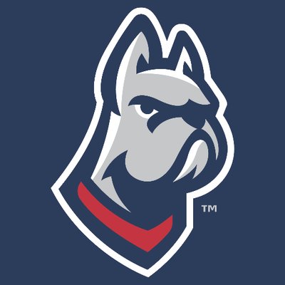 DeSales University - Logo