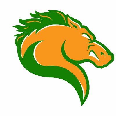 Athletics Website