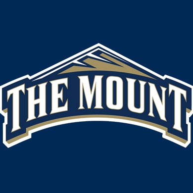 Mount St Mary's University - Logo