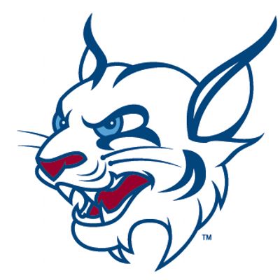 St. Thomas University - Logo