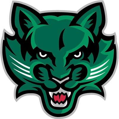 SUNY at Binghamton - Logo