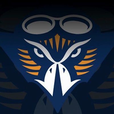 The University of Tennessee-Martin - Logo