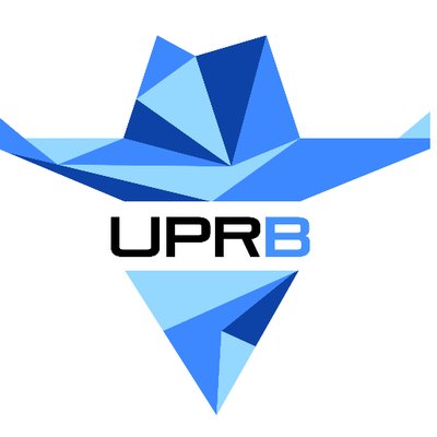 University of Puerto Rico-Bayamon - Logo