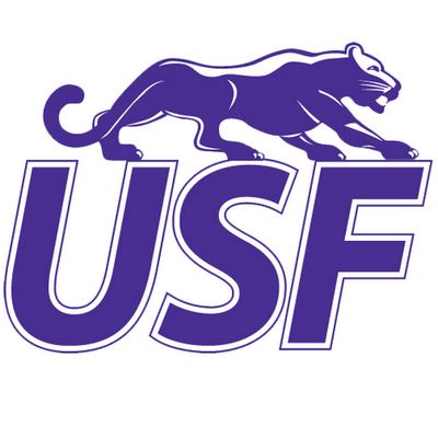 University of Sioux Falls - Logo