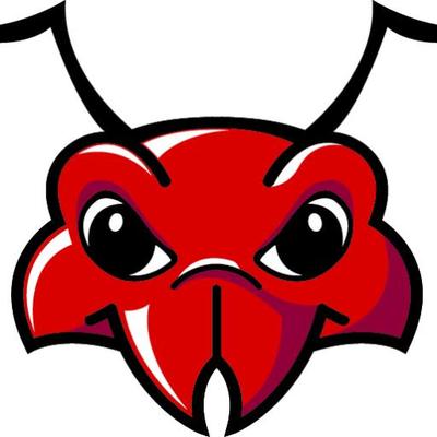 University of South Carolina-Sumter - Logo