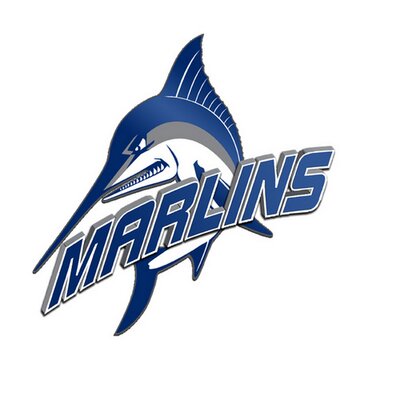 Virginia Wesleyan University - Logo