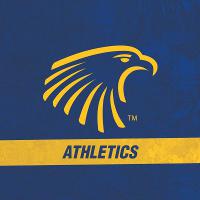 Embry-Riddle Aeronautical University-Daytona Beach - Logo