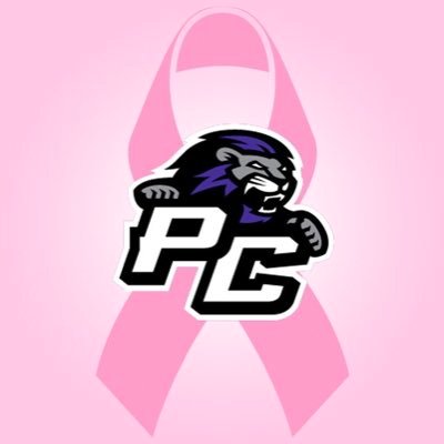 Paine College - Logo