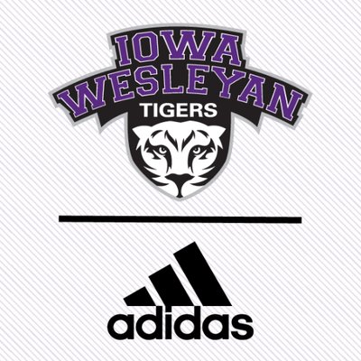 Iowa Wesleyan University - Logo
