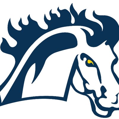 Mount Mercy University - Logo