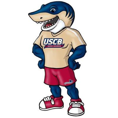 University of South Carolina-Beaufort - Logo