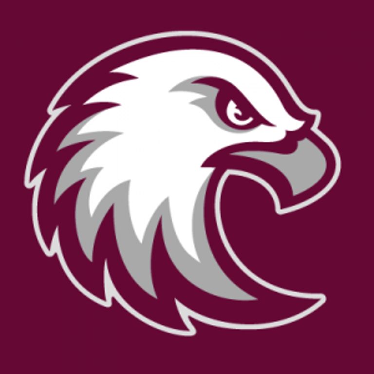 Augsburg University - Logo