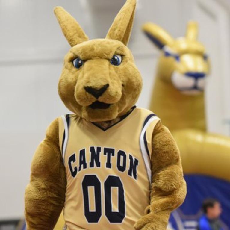SUNY College of Technology at Canton - Logo