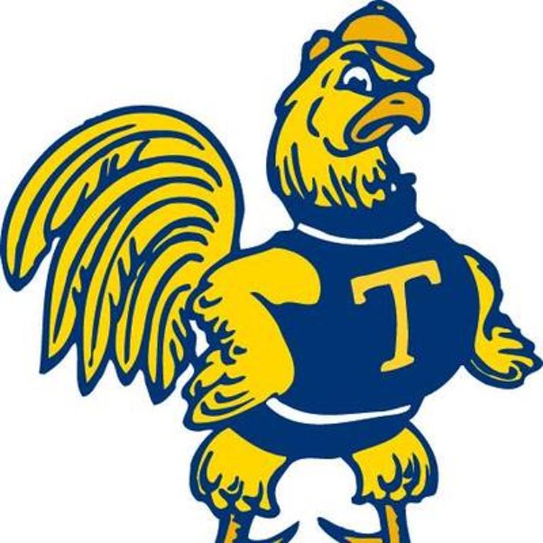 Trinity College - Logo