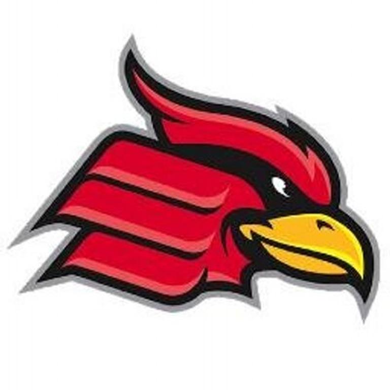Wheeling University - Logo