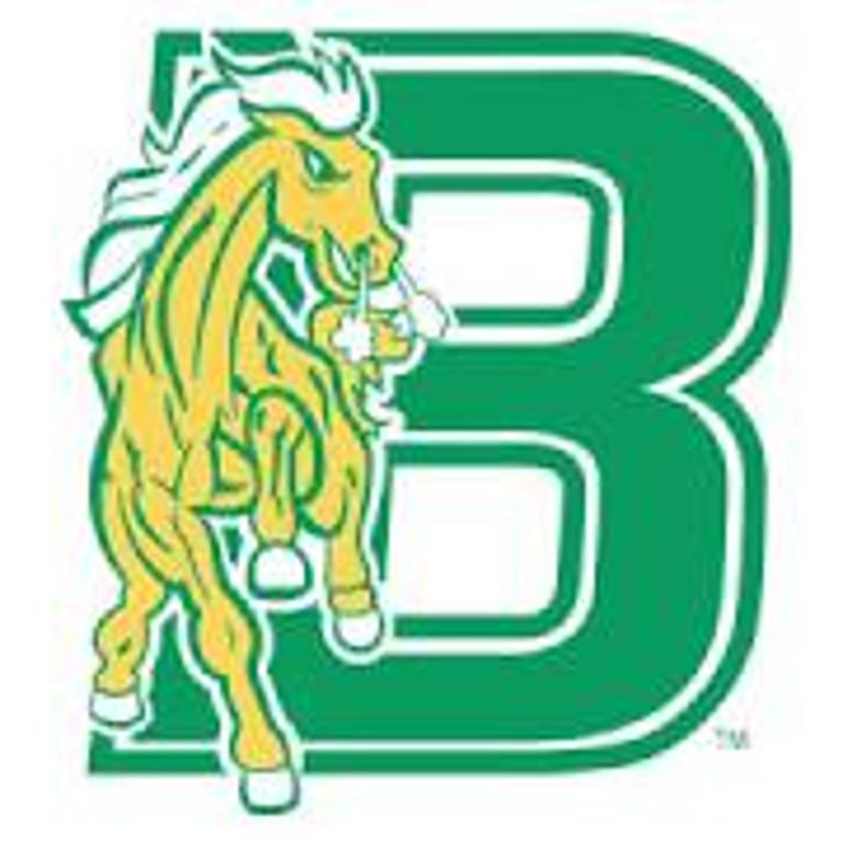 CUNY Bronx Community College - Logo