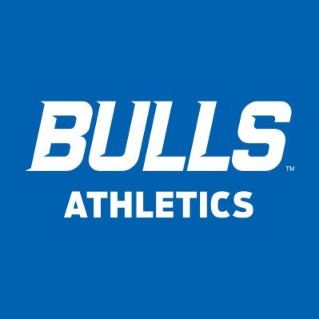 University at Buffalo - Logo
