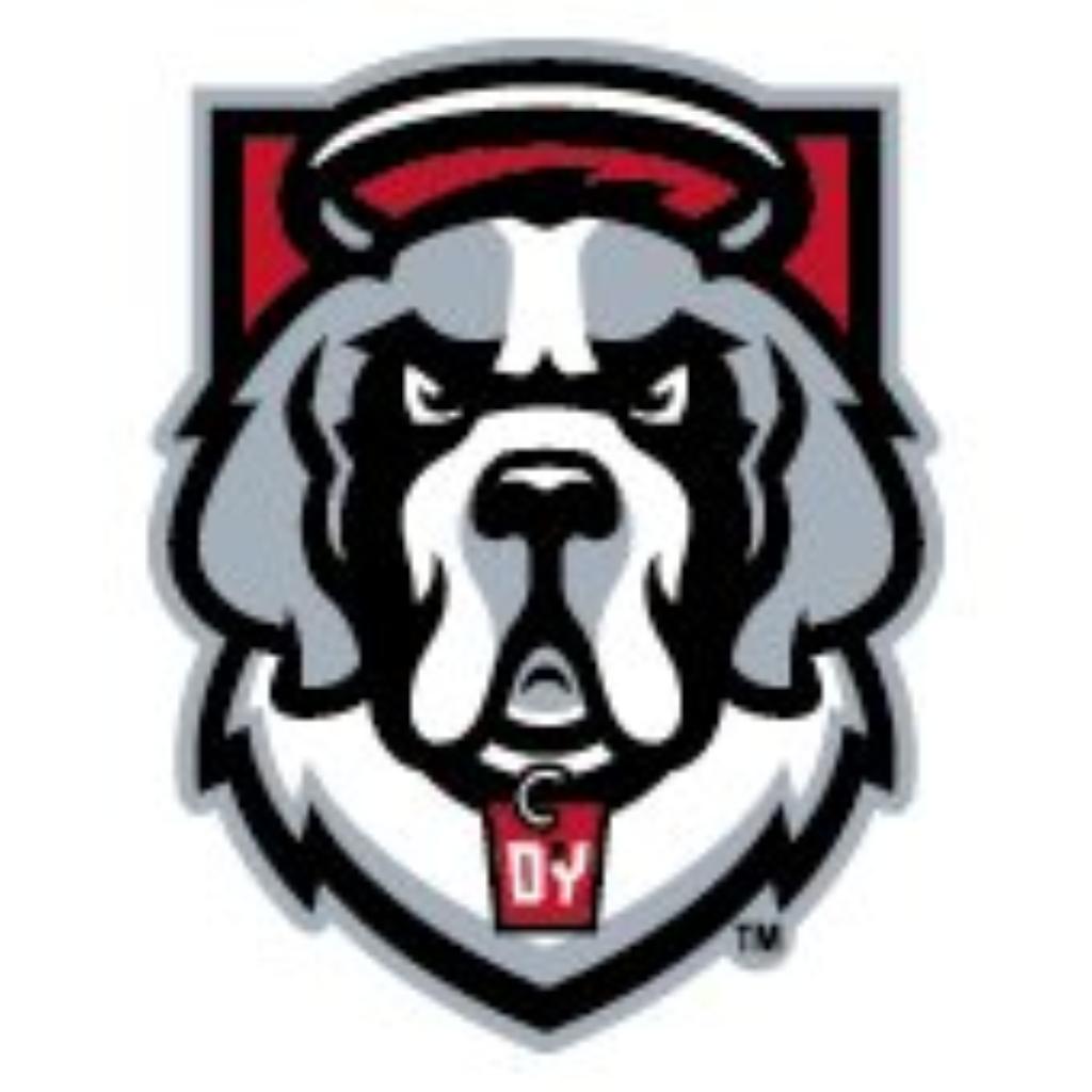 D'Youville College - Logo