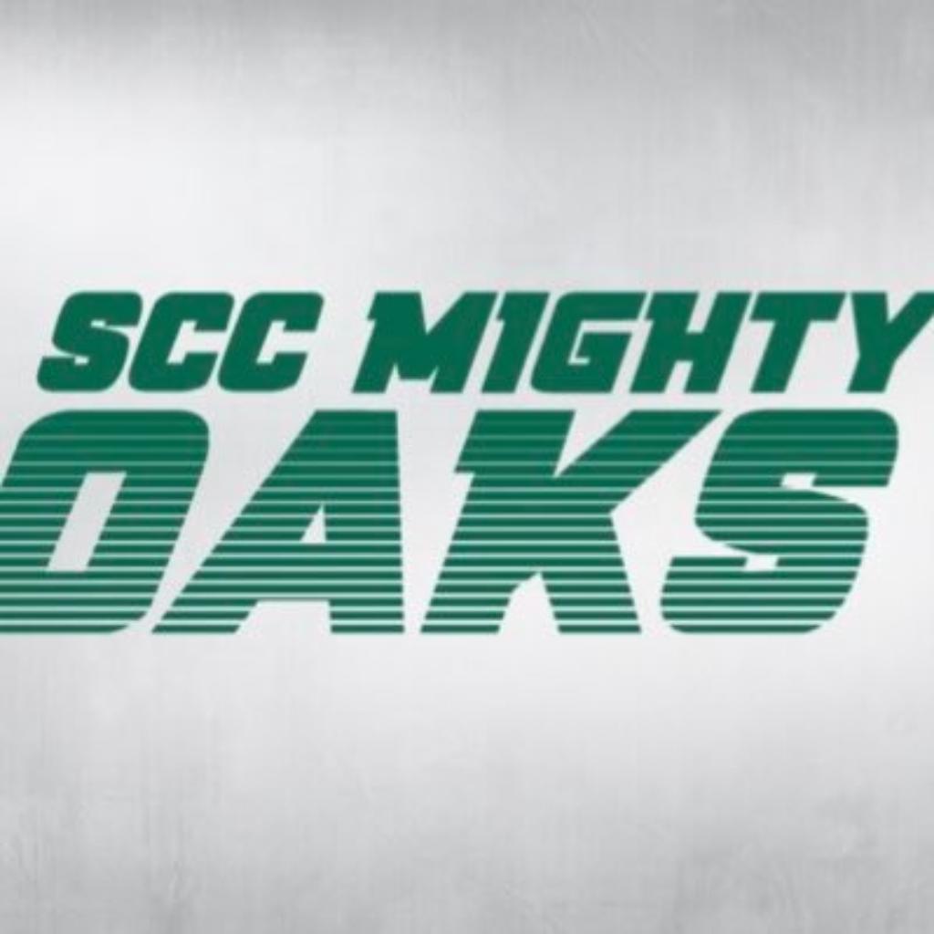 Salem Community College - Logo
