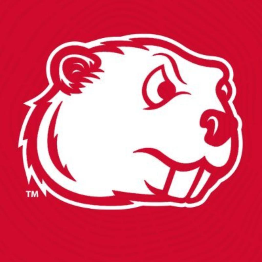 Minot State University - Logo