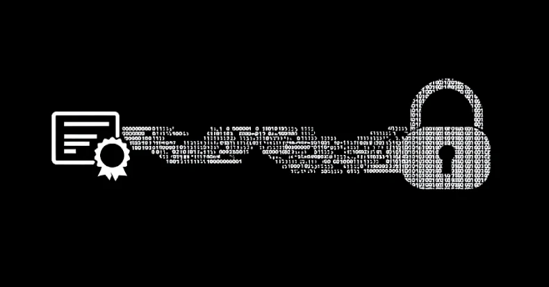 Privacy Shield - Certificación en privacidad digital