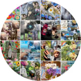 Nature's Canvas: A Journey Through Collage