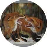 The Fox God