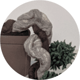 Felted Bonsai 