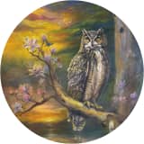 Owl at the Edge of Soft Reflection