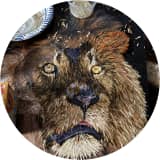 The Lion of Judah