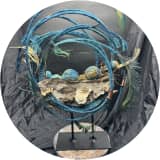 Earth Portals