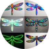 Heritage Hill Dragonflies: A Collective Flight
