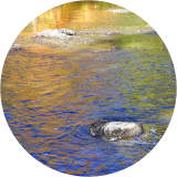 Shiawassee River at Henderson Park