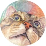Therapeutic Cats